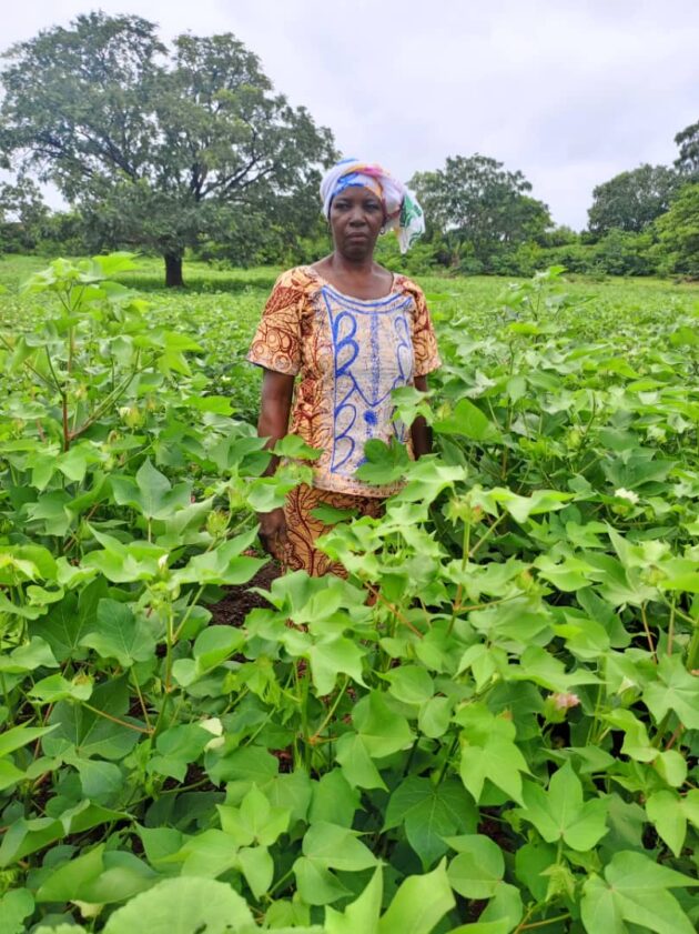 Sahoun Hanadoun Sahounn Hanadoun, une grande productrice de coton à Bombi, dans la région cotonnière de Houndé