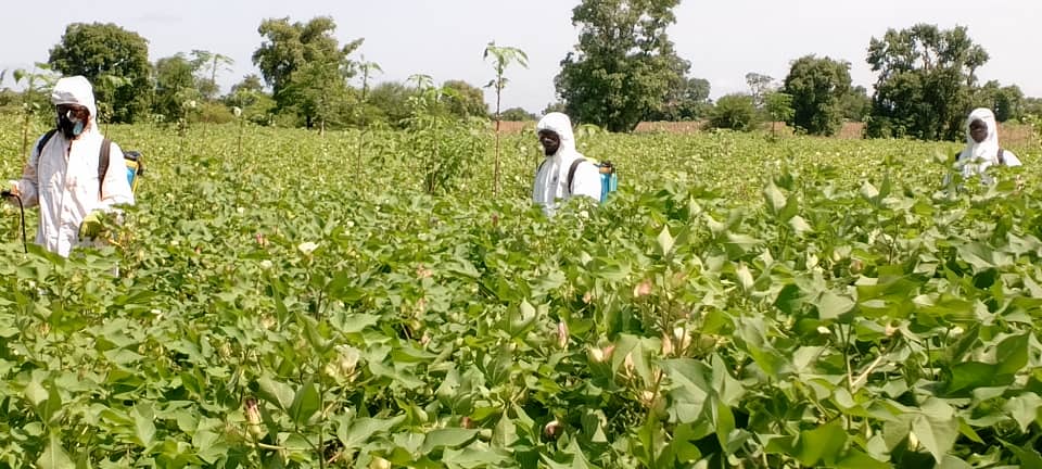 WhatsApp Image 2025-10-01 à 10.16.35_9f4a5cda