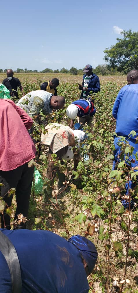 WhatsApp Image 2025-11-05 à 09.56.05_afca401e