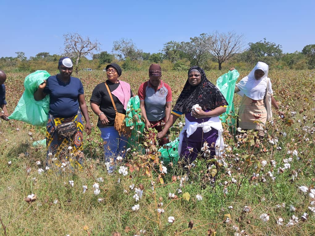 WhatsApp Image 2025-11-05 à 09.58.30_ff3091a3