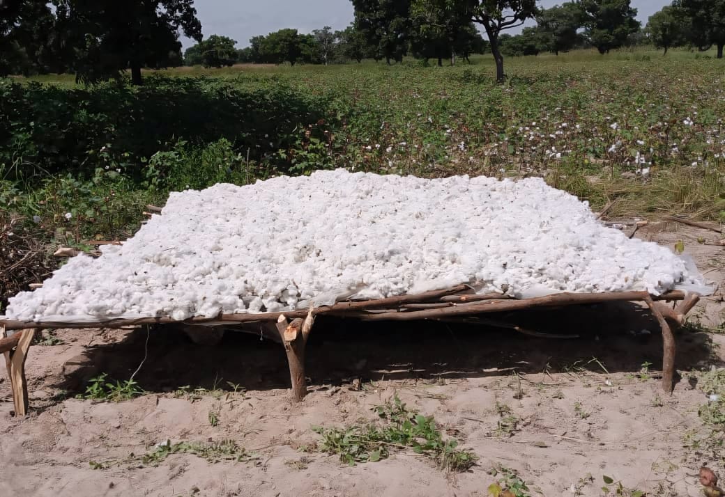 WhatsApp Image 2025-11-05 à 11.22.32_dd98cb52