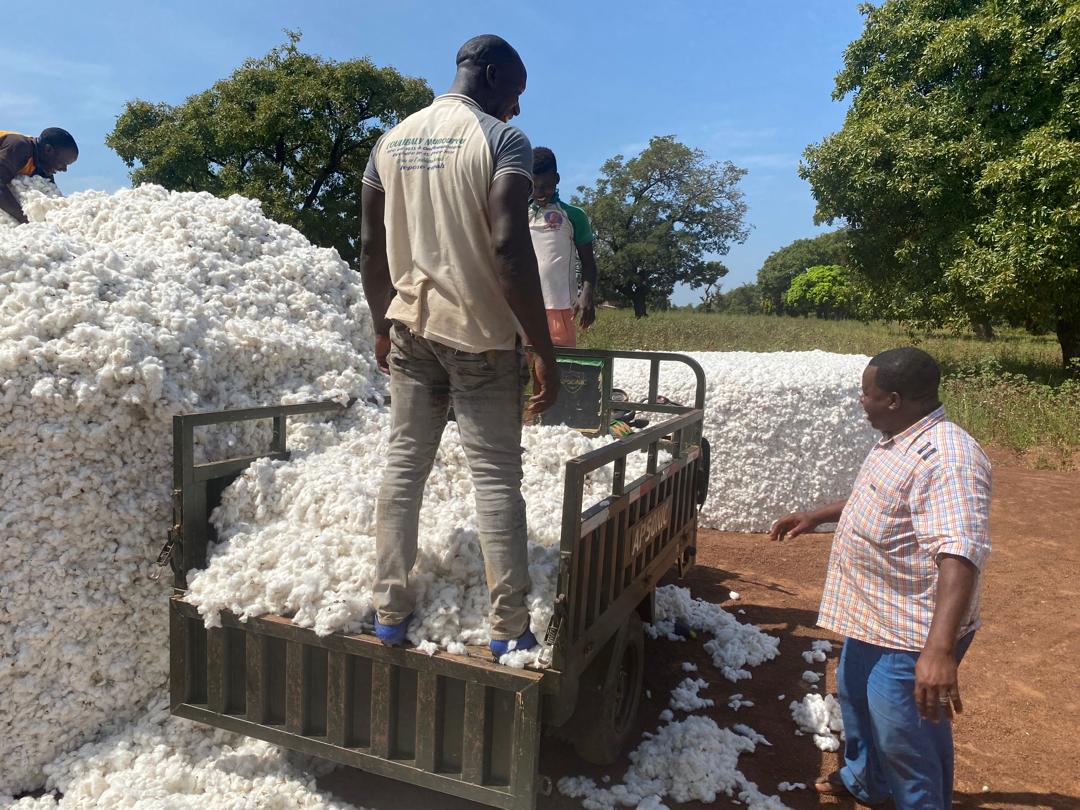 WhatsApp Image 2025-11-18 à 15.45.54_c7f47d50