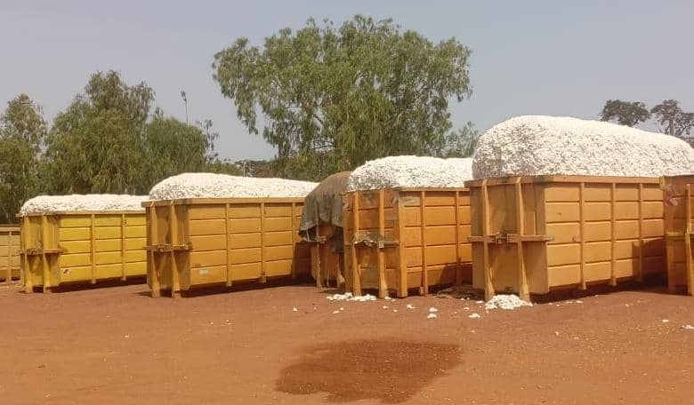 WhatsApp Image 2025-11-18 à 15.45.55_3686eb45