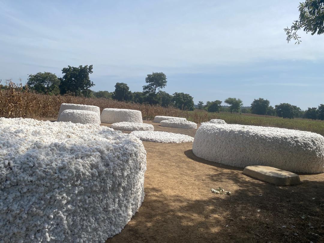 WhatsApp Image 2025-11-18 à 15.45.55_b3e5482c