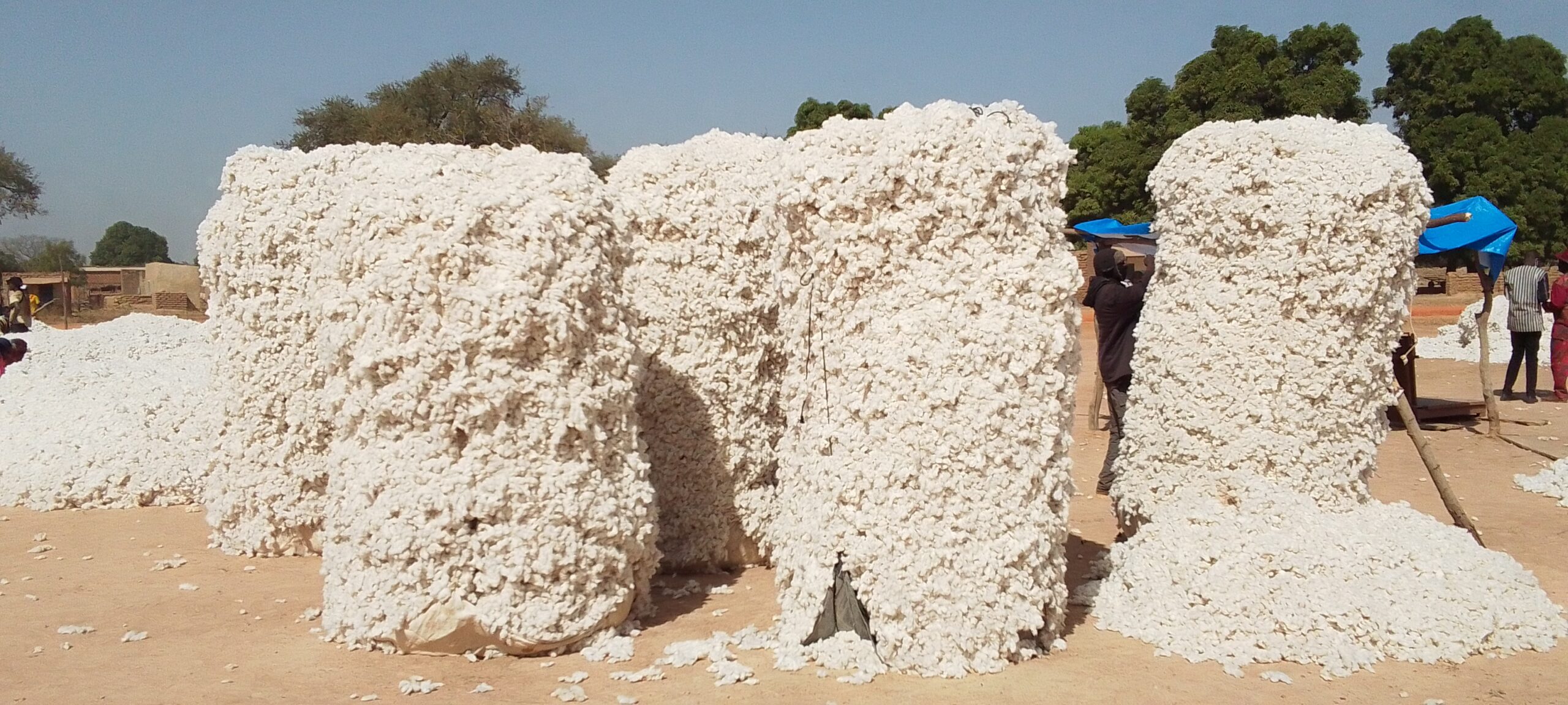 IMG_20231219_102923_717